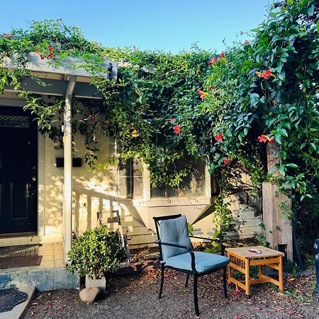 Cozy House Nested Around Trees D San Jose Esterno foto